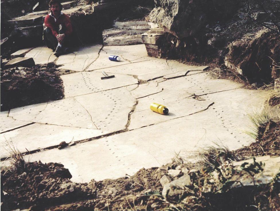 Hal on the partially excavated Permian Ledge trackway site February 1991. Note boulder to his left which we removed later to allow access to more of the piece.
